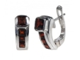 Серьги, серебро 925, гранат 003 01 21sk-00372 2010 г инфо 11076r.